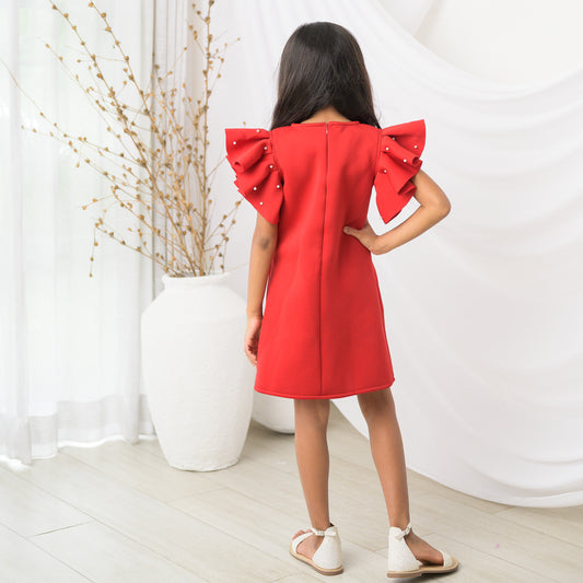 Scarlet Red A-Line Party Dress