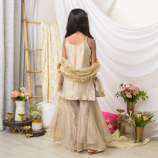 Girls Designer Sharara Set in Grey Tissue with Dupatta