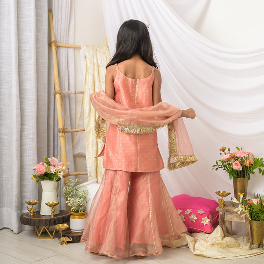 Girls Designer Sharara Set in PeachTissue with Dupatta