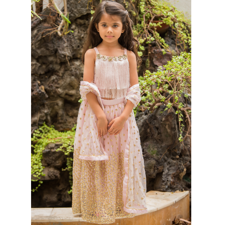 Shimmery And Glitter Lehenga Blouse With Dupatta Set - Pink