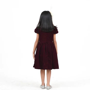 Fairies Forever Maroon Velvet Party Dress