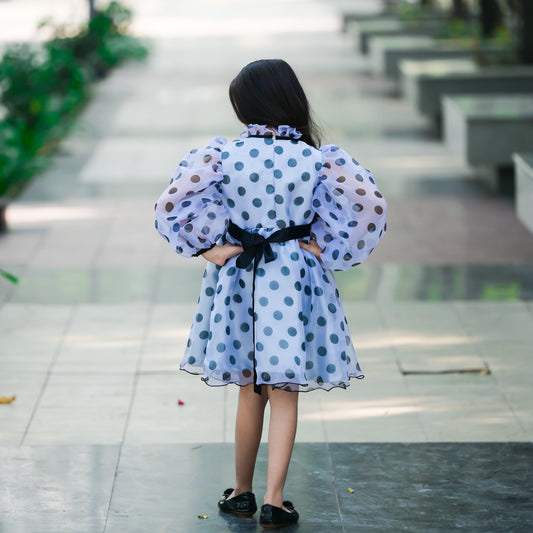 Organza Polka Dot Flared Dress
