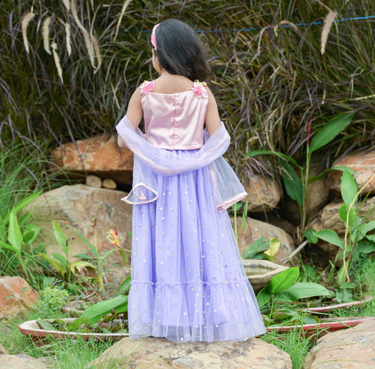 Pink And Purple Hand Emroiderd Designer Lehenga set