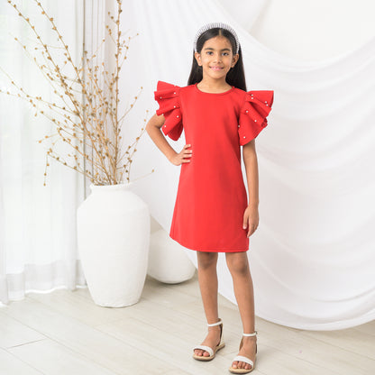 Scarlet Red A-Line Party Dress