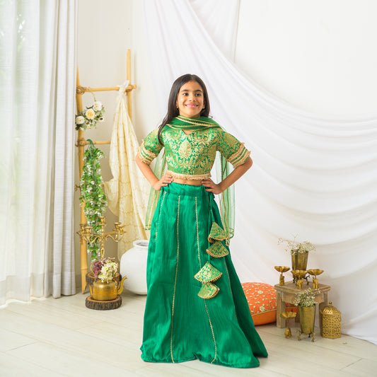 Green Banarasi Silk Lehenga Set
