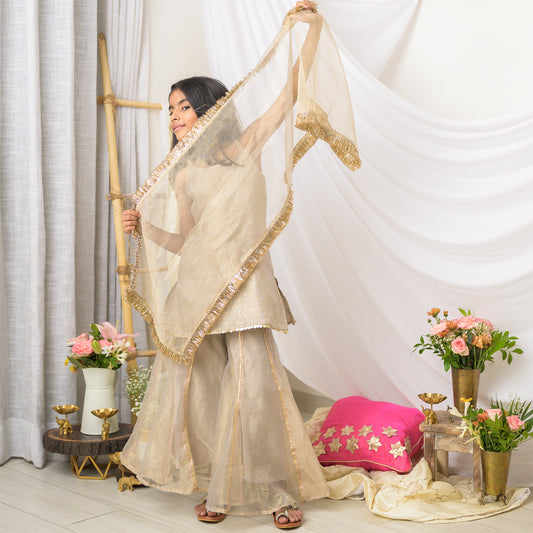 Girls Designer Sharara Set in Grey Tissue with Dupatta