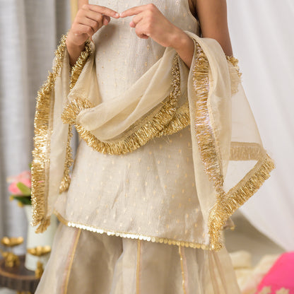 Girls Designer Sharara Set in Grey Tissue with Dupatta