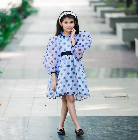 Organza Polka Dot Flared Dress