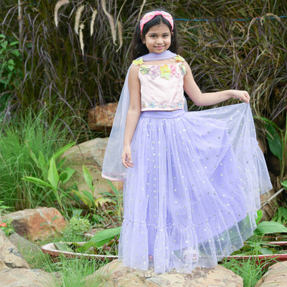 Pink And Purple Hand Emroiderd Designer Lehenga set