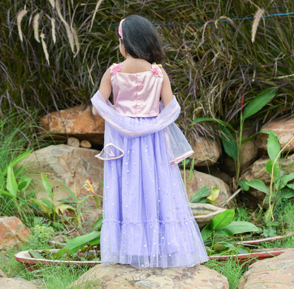 Pink And Purple Hand Emroiderd Designer Lehenga set